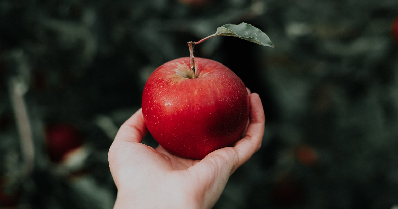 Green onion knife and salad plased