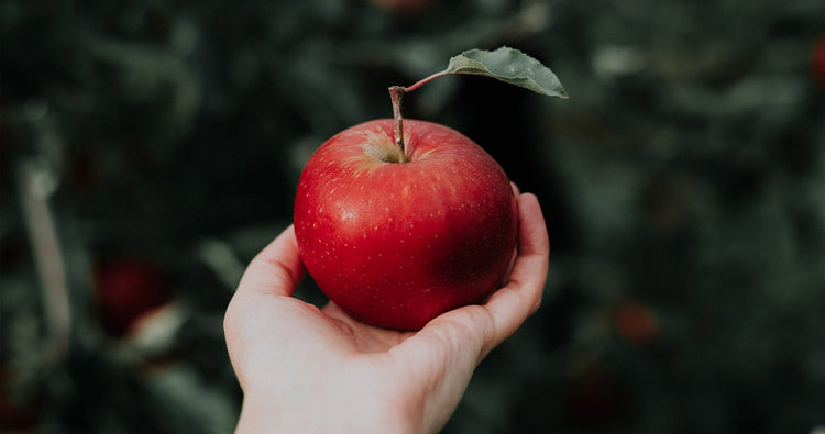 Green onion knife and salad plased